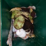 Urban Composting: Kitchen Composting
