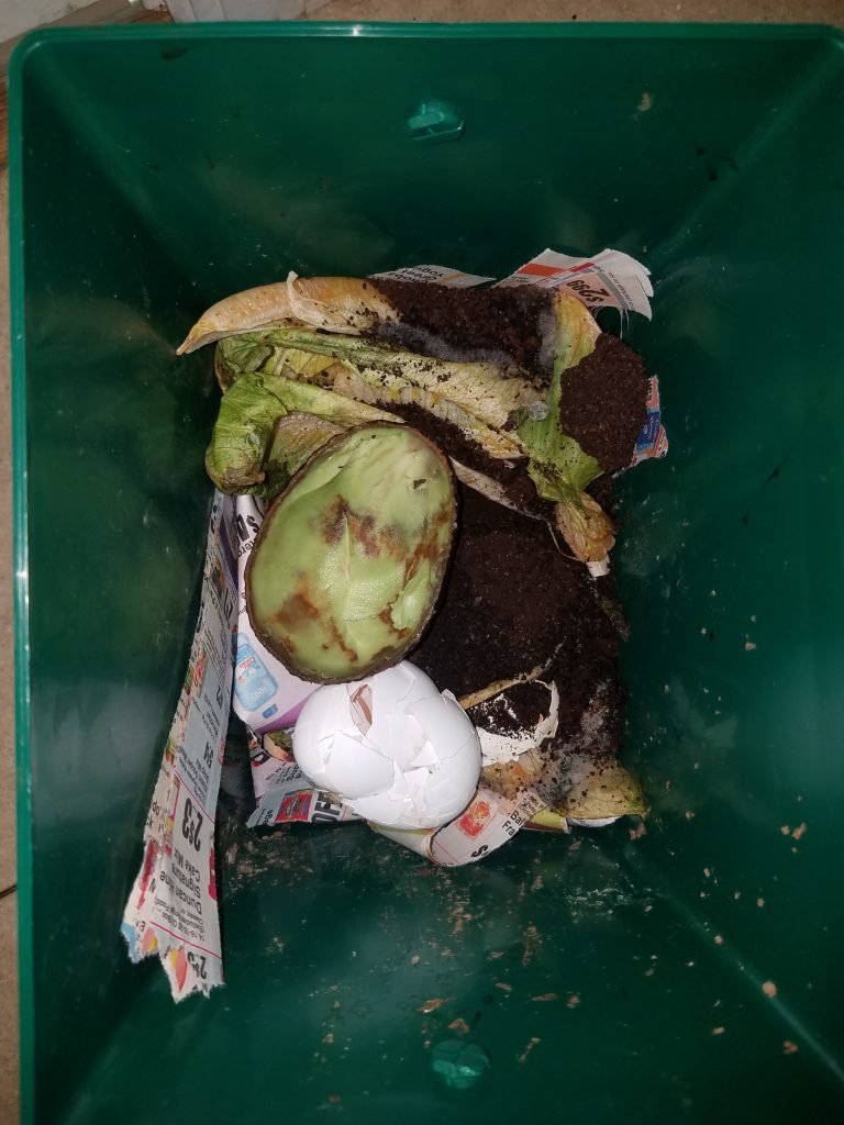 Urban Composting: Kitchen Composting